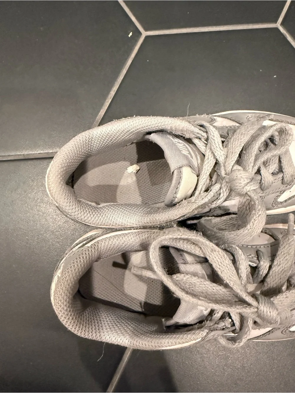 Nike Kids Light Gray and White Skate-Style Sneakers
